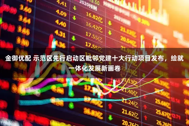 金御优配 示范区先行启动区毗邻党建十大行动项目发布，绘就一体化发展新画卷