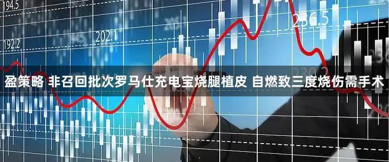 盈策略 非召回批次罗马仕充电宝烧腿植皮 自燃致三度烧伤需手术