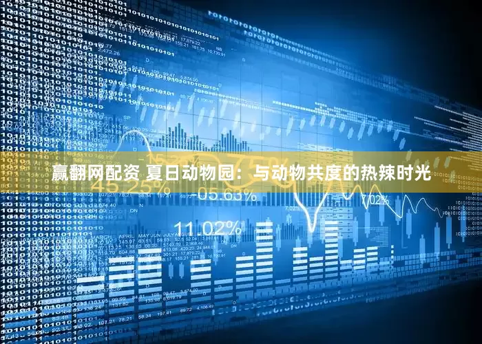 赢翻网配资 夏日动物园：与动物共度的热辣时光